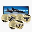 Lockheed SR-71 Blackbird 2025 60th Anniversary Gold Plated Box Set Edition Online Sale