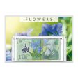 Banknote Collection  Flowers II  Hot on Sale