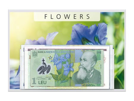 Banknote Collection  Flowers II  Hot on Sale