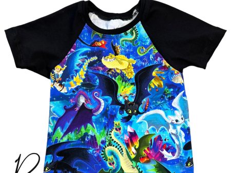 dragons 2t raglan tee Online Hot Sale