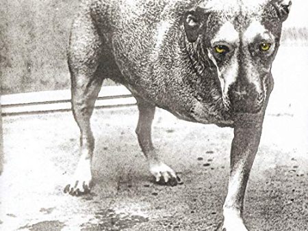 ALICE IN CHAINS - ALICE IN CHAINS (CD) on Sale